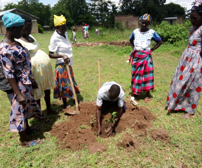 Community members planting fruit trees in Ngora