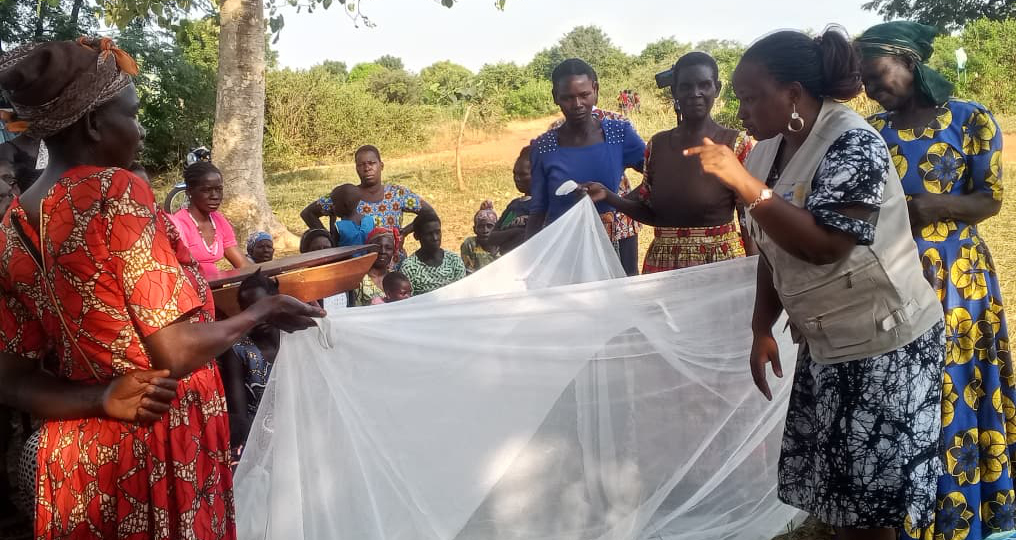 Malaria prevention mosquito net demonstration