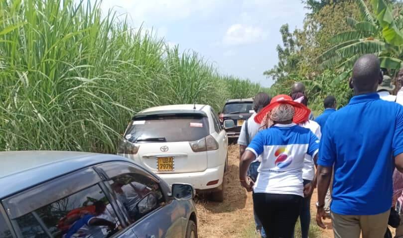 Sugarcane Project