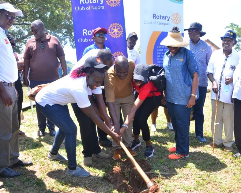Tree Planting